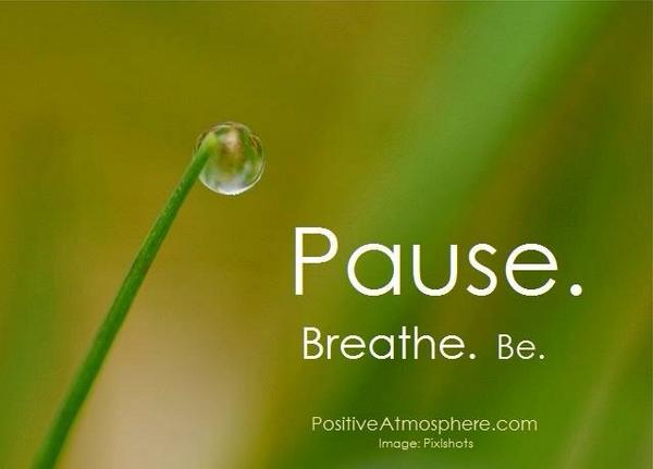 LinLeeB's tweet image. 