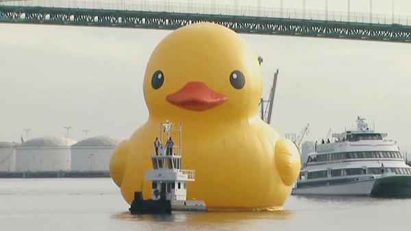 lucysiegle's tweet image. Please can this come to #dartmouth? RT@CBSNews: World's largest rubber duck in LA port cbsn.ws/1wfzipA http://t.co/nKtEoW19YC”