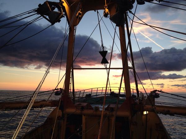 Billyontheboat's tweet photo. Just another day in paradise http://t.co/0QOIHyKjyH