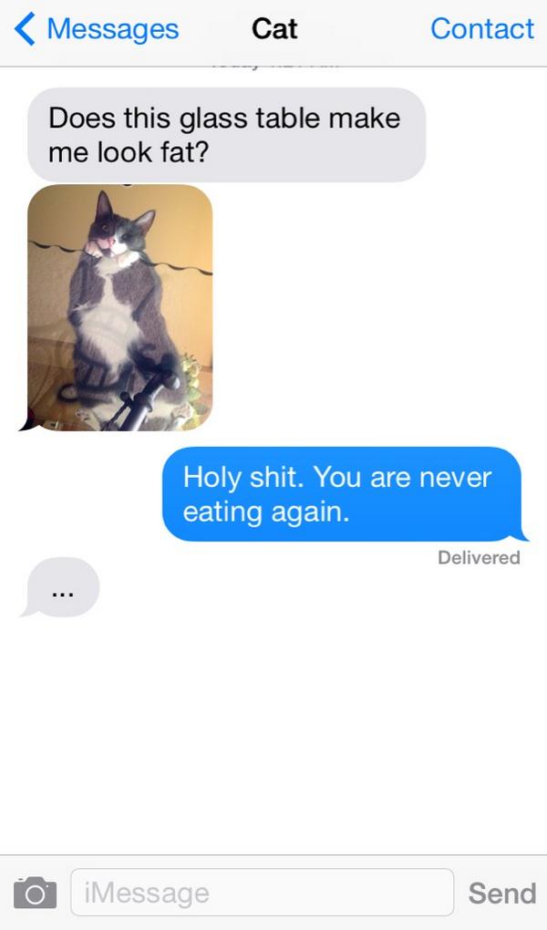 Texts From My Cat Calendar 