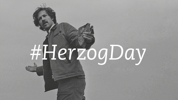 Happy #HerzogDay!