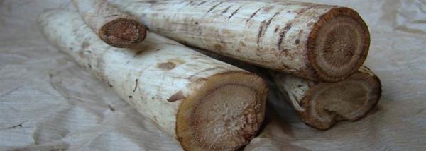 EssiacTea's tweet image. Burdock Root: A Proven Cancer Fighter

essiacfacts.com/benefits-of-bu…