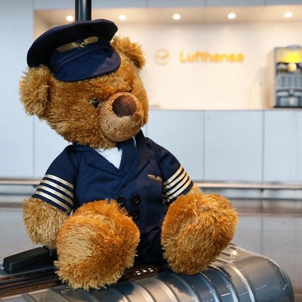 pilot teddy