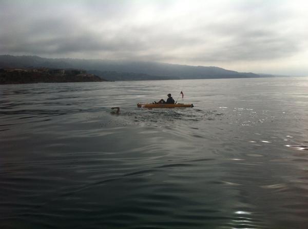 AndrewPaulHunt's tweet photo. Jules just jumped in to swim ashore with Andrew http://t.co/lq51aq7q3k