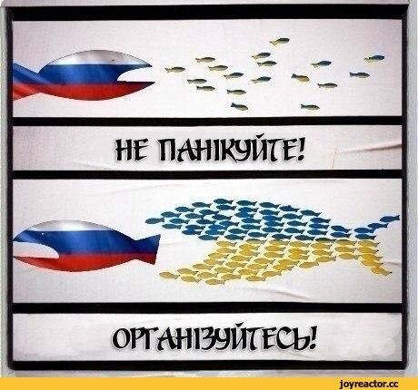 Украинские военнослужащие обещают реагировать, если найдут в конвое РФ "негуманитарные" предметы - Цензор.НЕТ 1427
