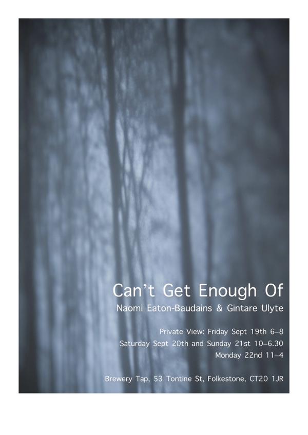 MrsNaomiEB's tweet photo. Gintare and I have a show @FstoneFringe during the @FstoneTriennial Come along to the PV 19th Sep. or until the 21st. http://t.co/Q69SpP7CEe