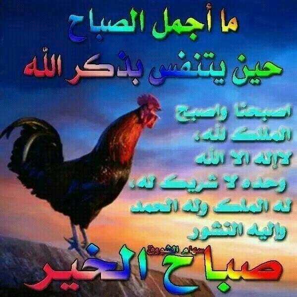 #الحياة_جميله_بذكر_الله 
#استغفر_الله
#الحمدلله
الله_اكبر
#لا_اله_الا_الله