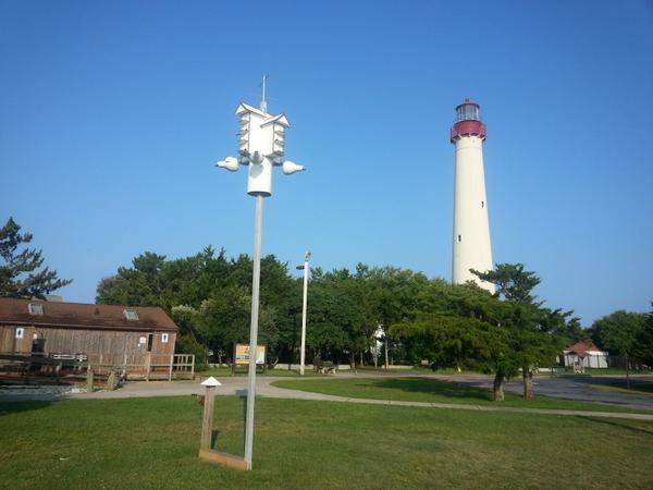 fledgingbirders's tweet image. #PledgeToFledge kick off in a few hours. Hoping the weather stays like this!