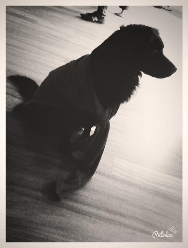 lisabontrupx's tweet photo. Onze redder in nood😏✋ http://t.co/ic51guFLKq