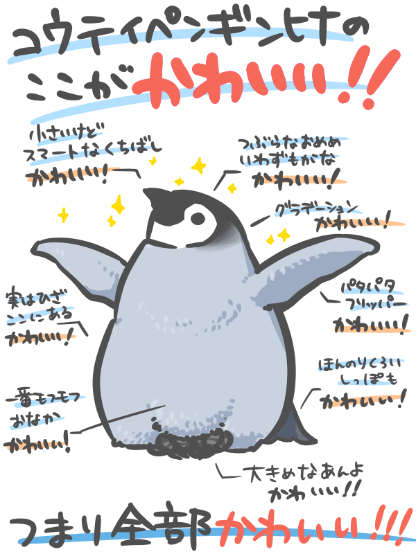 後野 垂氷 コウテイペンギンヒナかわいい 確信 Http T Co Rqdv7akgb4 Twitter