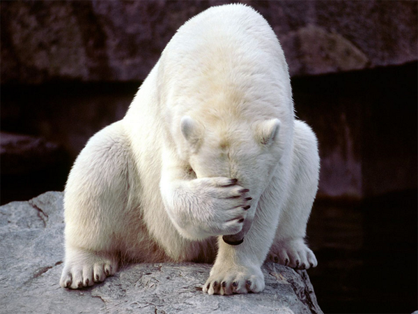 _Black00_'s tweet photo. @nookBN #NOOKfaces When the main character walks straight into an obvious trap. http://t.co/LMFjhyOrgd