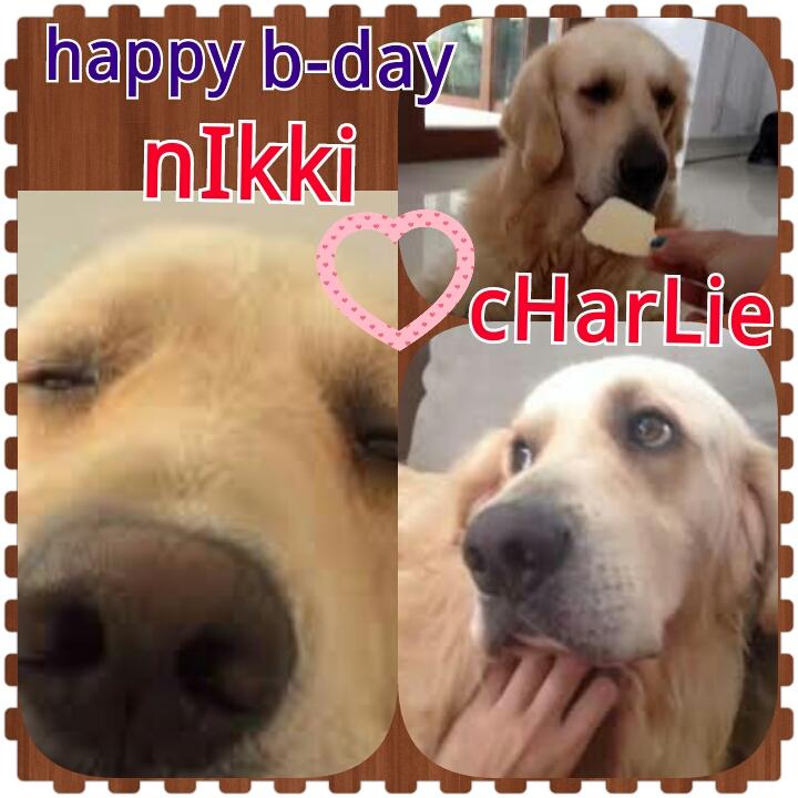  ,happy bday nikki Gil,you are one of my inspiration,I and charlie loves you a lot., 