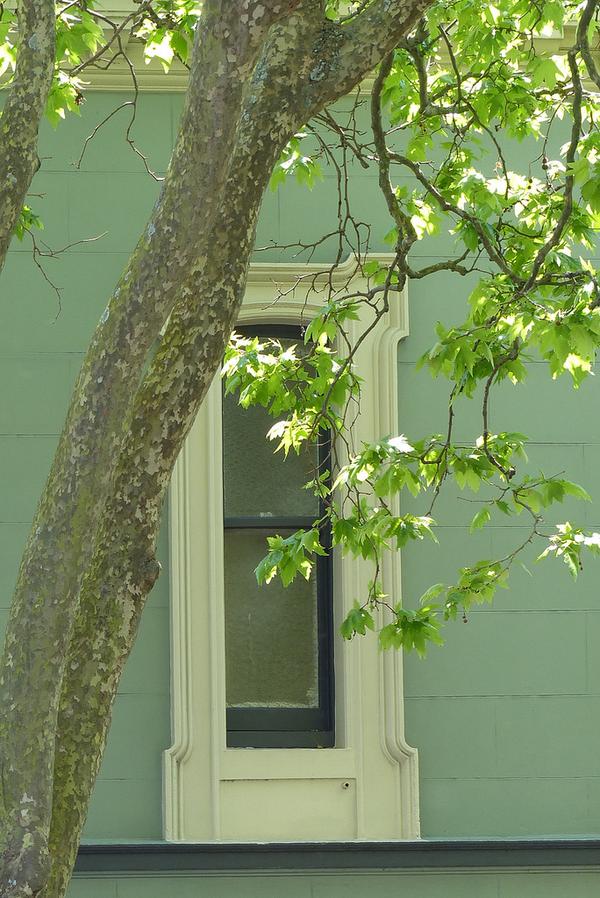 AucklandStyle's tweet photo. "WINDOWS OF AUCKLAND" -- #AucklandStyle #Auckland #AKL #Aotearoa #NewZealand #NZ http://t.co/ZafTJP6NfY