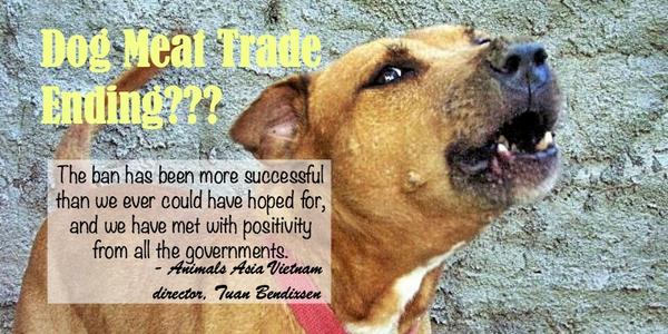 One Green Planet (@onegreenplanet) on Twitter photo #DogMeatTrade is on the Way Out in Asia Thanks to Government Ban! onegr.pl/1rqkkez <a href="/AnimalsAsia/">Animals Asia</a> #DogMeatTrade is on the Way Out in Asia Thanks to Government Ban! onegr.pl/1rqkkez <a href="/AnimalsAsia/">Animals Asia</a>