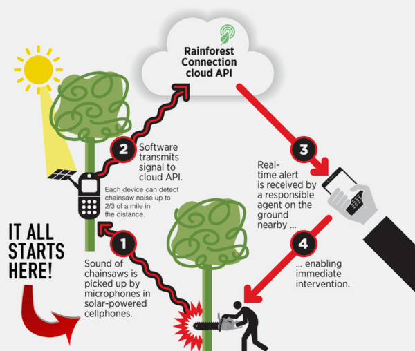 TechXploration's tweet photo. Just saw Topher White's video on #kickstarter .WOW! Go #Rainforestconnection! Join him today!
http://t.co/EKbIpFwbxi http://t.co/dymaw3m6dl