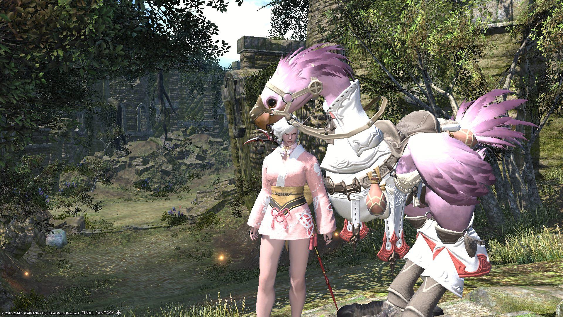 Ff14 how to change chocobo color