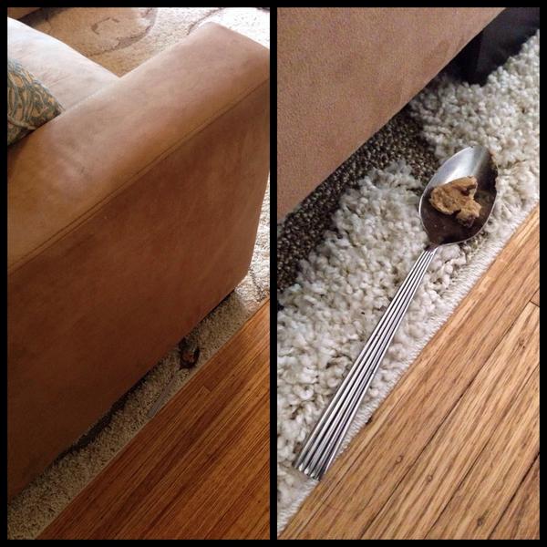 carapell's tweet image. This is what happens when I clean behind my couch. Sorry I'm not sorry. #cookiedoughproblems
