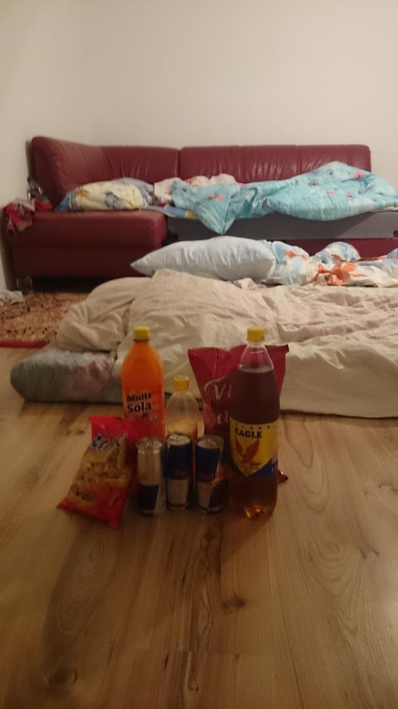 factsofgerman tweet picture