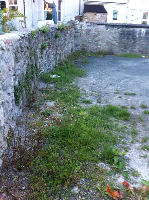 james parker tweet media