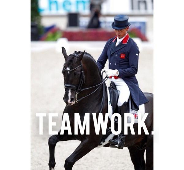 horsequotesx tweet picture