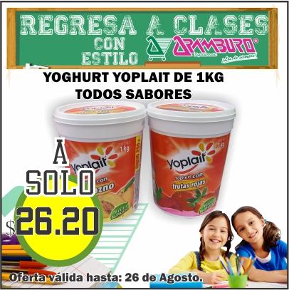 ENCUENTRA LOS YOGURES LALA BEBIBLE Y YOPLAIT DE 1LT A UN SUPER MEGA PRECIO SOLO AQUI EN <a href="/MercadoAramburo/">Arámburo</a>