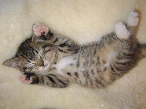 EstiloDeChicas's tweet photo. Buenas noches.
RT si lo quieres. http://t.co/SkB7Tq3LgE