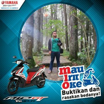 #mauiritoke, picmix.it/a/MzQ5MjI5MTcy