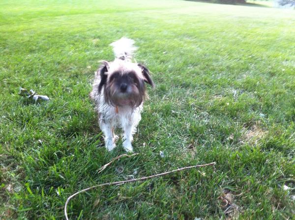 ddockery4's tweet photo. Hi, Lucy!! http://t.co/pPy3O3BR6G