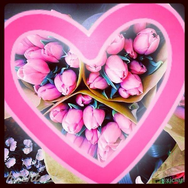 Nakda_38859's tweet photo. #Retacked from @xiclari via @HashtackApp
Tulipanes <3G http://t.co/xTMXXxdiQD http://t.co/S4QVIiZeXh