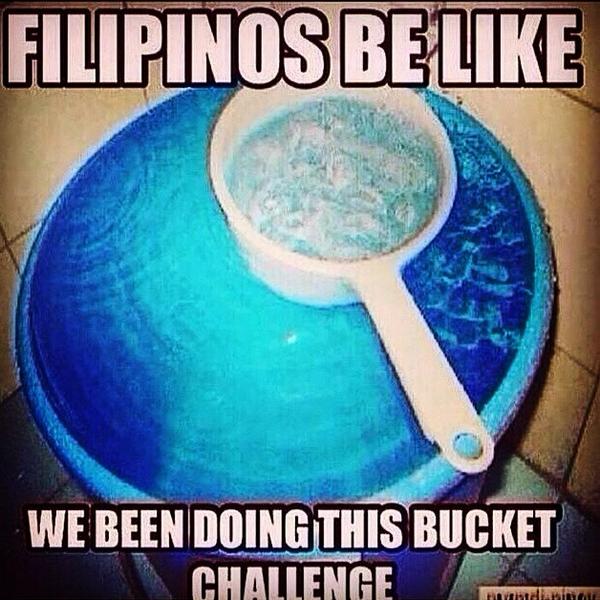 eggrollin'! tweet media