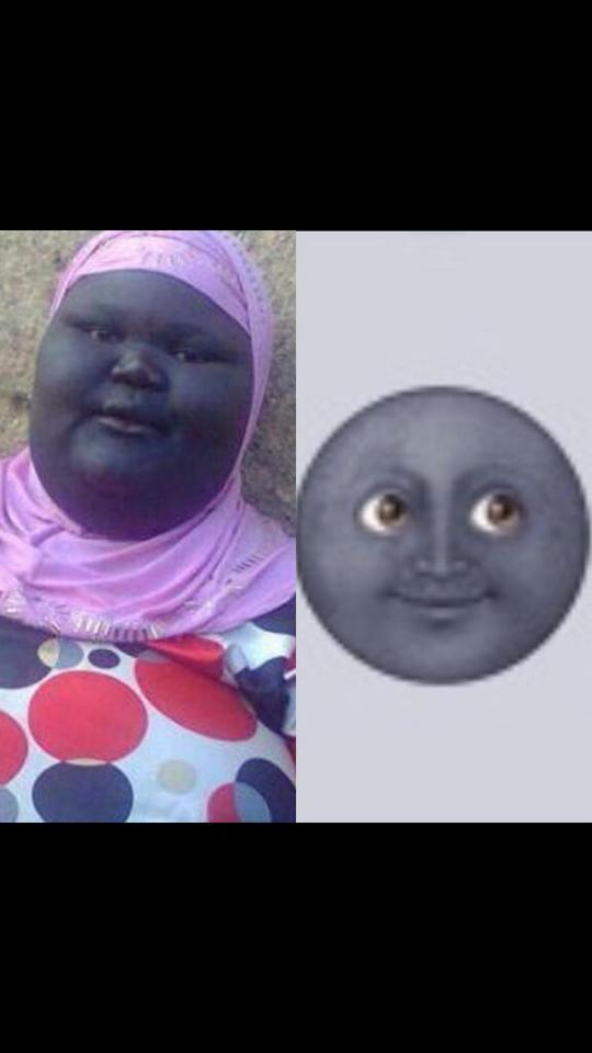 iMoanAyePapi's tweet photo. DEAD!!!! 😂😭😆😂😭😆 http://t.co/B6vo60Fgtk
