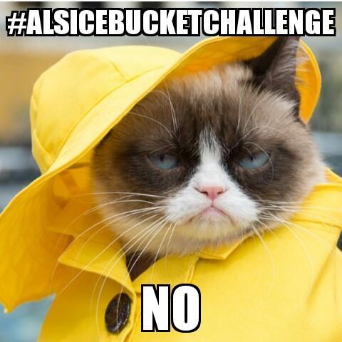 what_da_florida's tweet image. #ALSIceBucketChallenge #ALSchallenge #grumpycat #grumpiercat #grumpy4life #tardarsauce