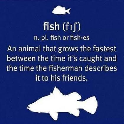 AnglerandHunter tweet picture