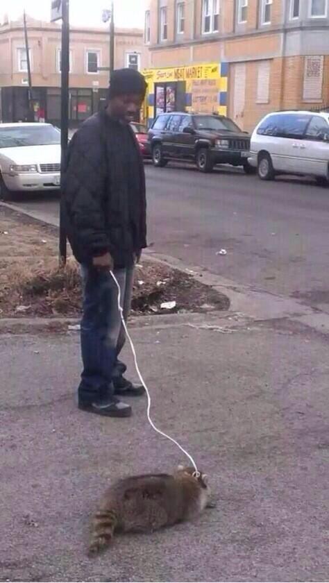 FunniestTrends's tweet photo. Bruh Crackheads Can Get ANYTHING On A Leash 😂😂😂... http://t.co/qNB4Kx4oDk