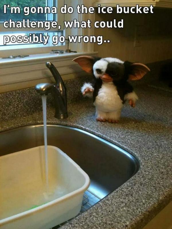 ActorMikeBiddle's tweet image. #ALSIceBucketChallenge #ALSchallenge #ALSIceBucket #gremlins