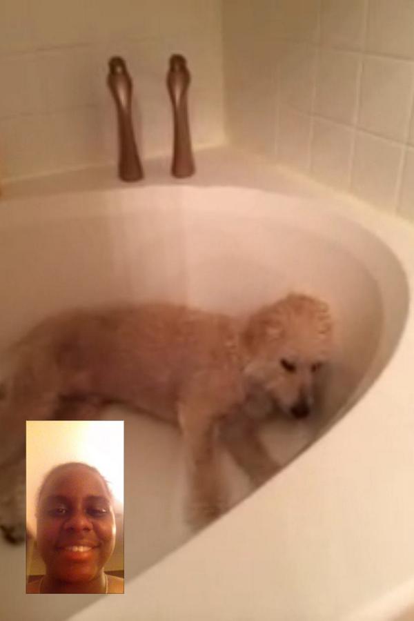 riss_15's tweet image. this is definitely my son #griffy #iloveem #bestie