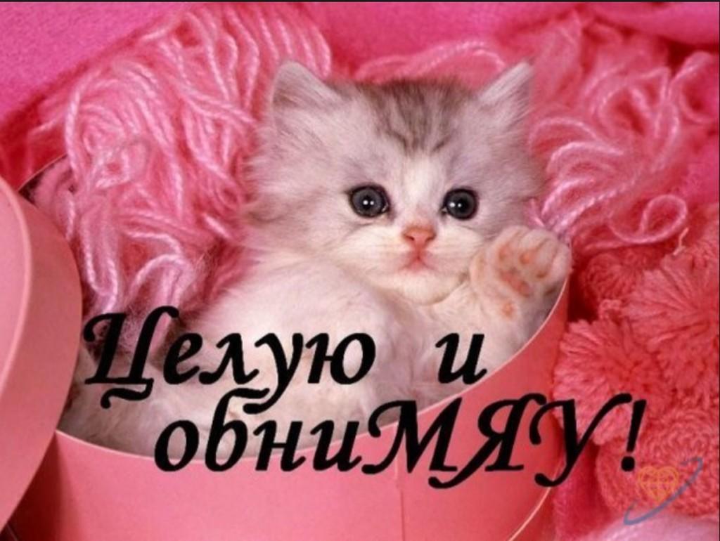 Нитками, люблю целую обнимаю картинки анимация