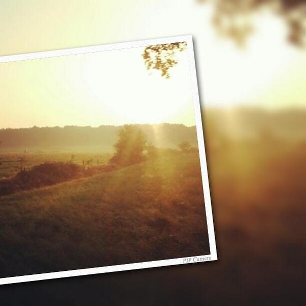 Op weg naar landgoedfair @Mariënwaerd. Prachtige morgen met nevel boven de weides. Beloofd een mooie dag te worden!