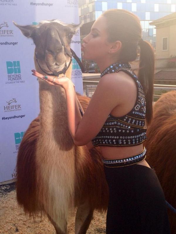 RyanNewman_FR's tweet photo. Nouvelle photo, Ryan avec un lama http://t.co/YmCyRN0h9o