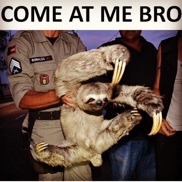 201452Sam's tweet image. 