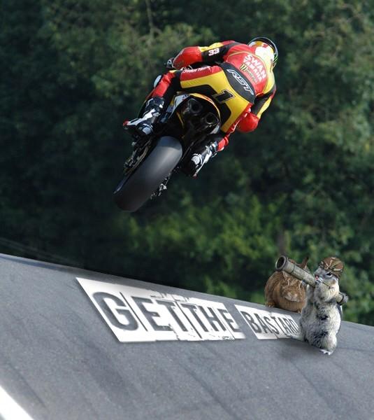 tommyhill33's tweet photo. Great to be back here at the famous @CadwellPark campsite totally rammed and wild life are pissed off! (Photoshop) http://t.co/R3Z6qSClPF