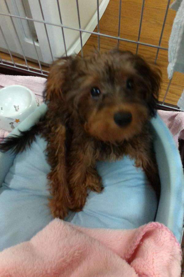 麻生和秀 tweet media