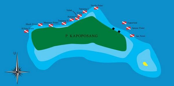 andijanuarjaury's tweet photo. Sangat senang dgn testimoni kepuasan diver yg telah menjajal #januarpoint salah satu favorite dive site #kapoposang http://t.co/4hAa20nNoK