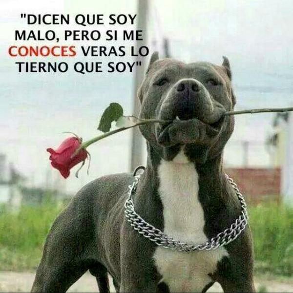 Nyno_SBR's tweet photo. Feliz Sábado mi gente! http://t.co/5eTmbJWghX