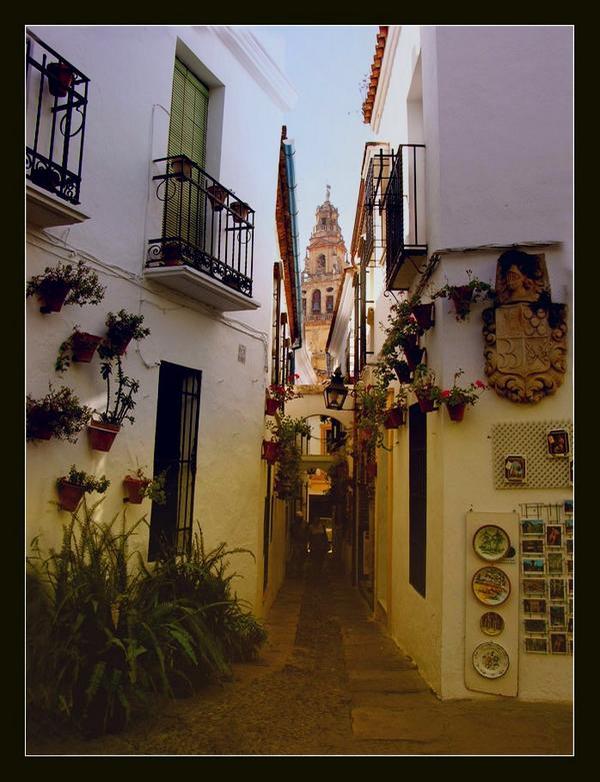 _Paisajes_'s tweet photo. A pesar del calor, porque no un paseo por estas calles de #Cordoba #Andalucia #Spain http://t.co/I2nx01MNr8
