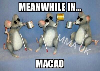WeAreMMAUK's tweet photo. Meanwhile in Macao .... #UFCMacao http://t.co/NtXT8o2u1o