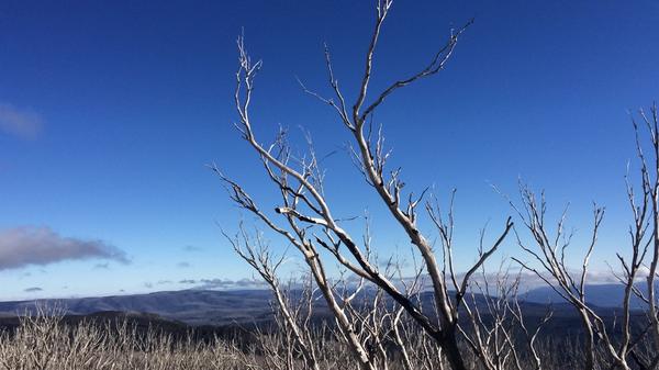 umossharma's tweet photo. Lake mountain !!!! http://t.co/88WveUBulC