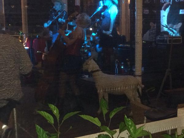 benstallsy's tweet photo. How's the sheep going in Port Douglas?
#sheepbox #portdouglas http://t.co/p1FCRW51Af