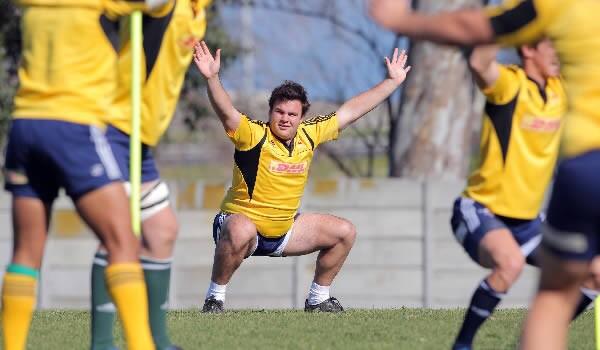 ruggercub's tweet image. One for the future.. #rugbybear #ruggerbeef