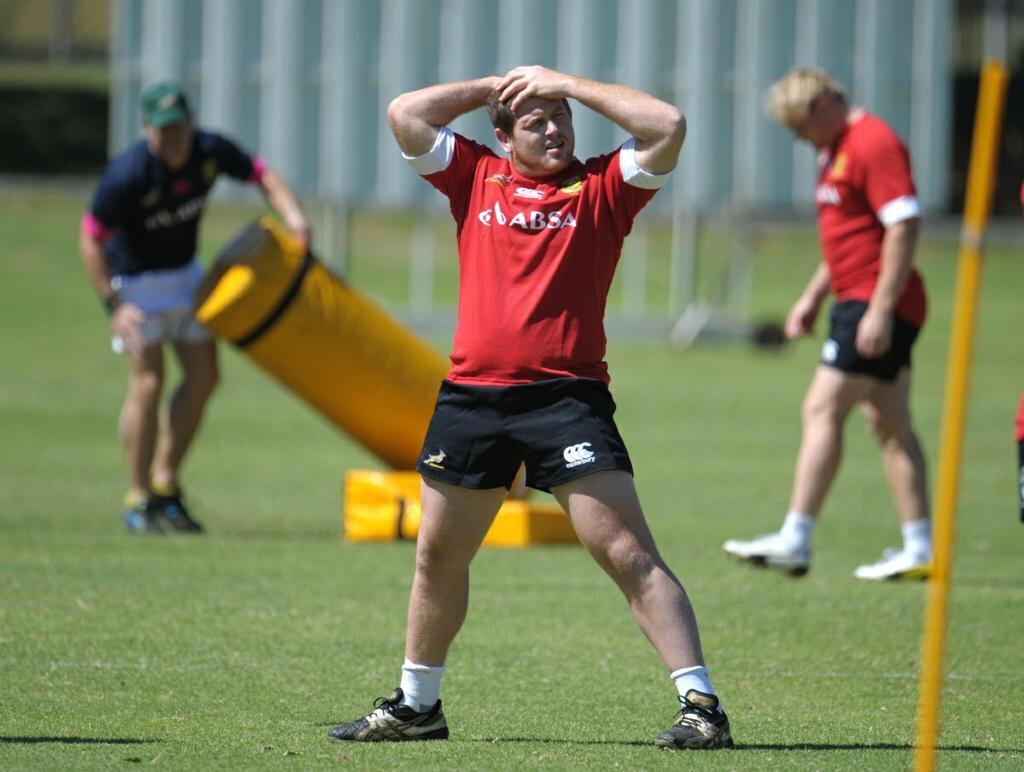 ruggercub's tweet image. One for the future.. #rugbybear #ruggerbeef